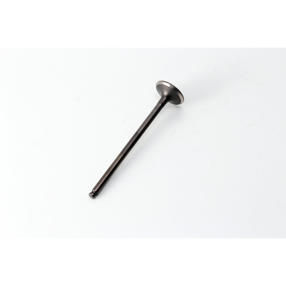 Daytona ANIMA Repair Part VALVE, EXHAUST Φ21 #86623