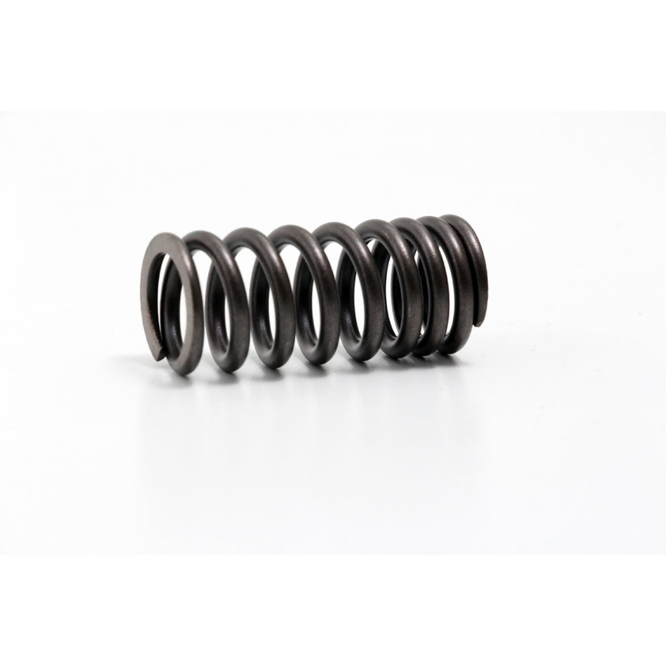 Daytona ANIMA Repair Part SPRING, VALVE PLAN-G #87343