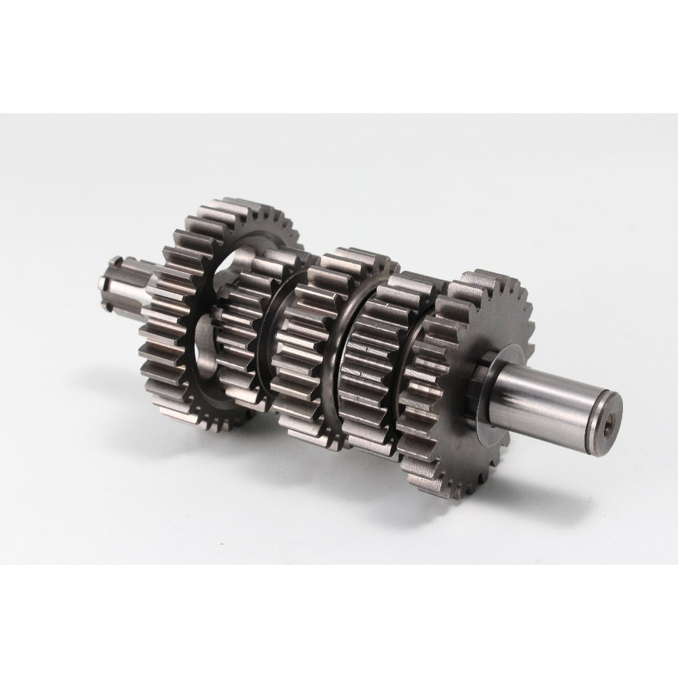 Daytona ANIMA Repair Part GEAR, COMP, 5-SPEED #80239