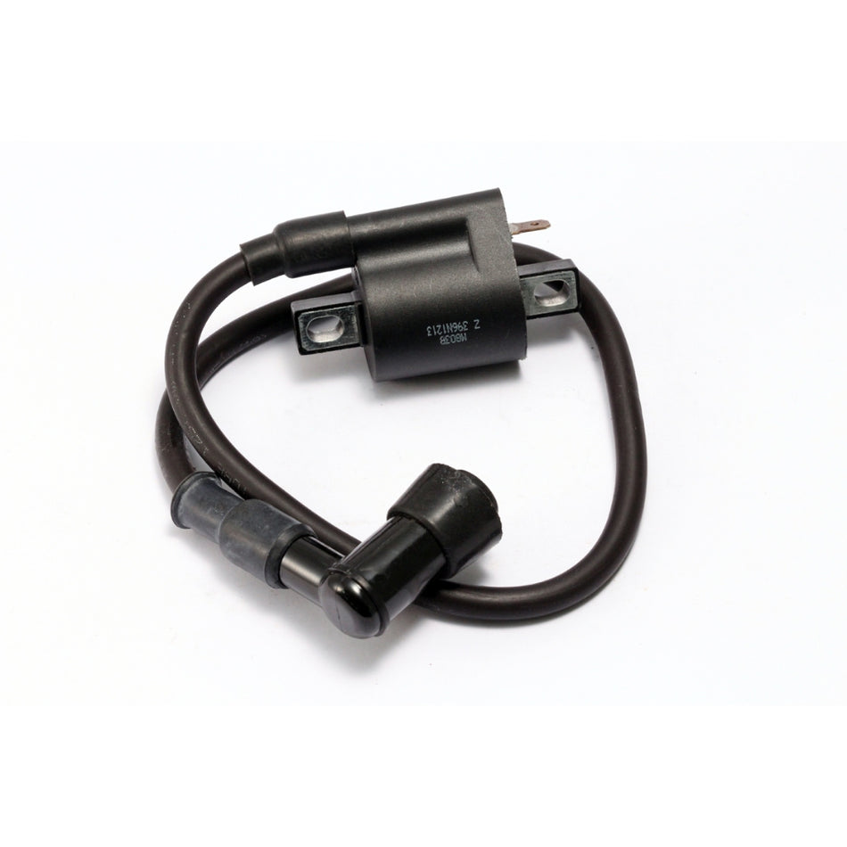 Daytona ANIMA Repair Part COIL, IGNITION #86368