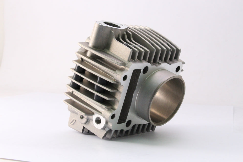 Daytona ANIMA Repair Part CYLINDER For 190CC #89237