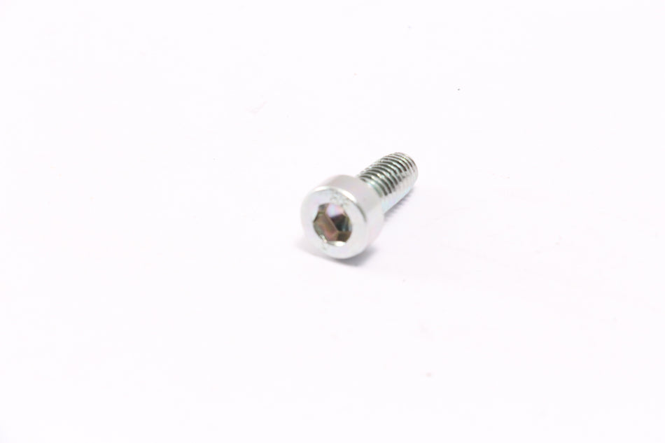 Daytona ANIMA Repair Part BOLT, HEXAGON SOCKET M6 #86449